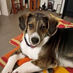 Meet your Posher, Cheryl